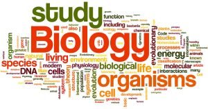 AS Level Biology 9700